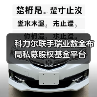 科力尔联手瑞业数金布局私募股权基金平台(图2) 科力尔联手瑞业数金布局私募股权基金平台(图2)