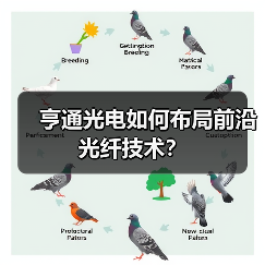 亨通光电如何布局前沿光纤技术?(图2) 亨通光电如何布局前沿光纤技术?(图2)
