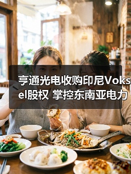 亨通光电收购印尼Voksel股权 掌控东南亚电力布局(图3) 亨通光电收购印尼Voksel股权 掌控东南亚电力布局(图3)