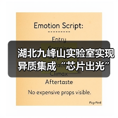 湖北九峰山实验室实现异质集成“芯片出光”（图2）