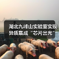 湖北九峰山实验室实现异质集成“芯片出光”（图4）