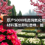 原产5000吨高纯氮化物材料落地呼和浩特,推动电子陶瓷产业升级(图1) 原产5000吨高纯氮化物材料落地呼和浩特,推动电子陶瓷产业升级(图1)