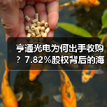 亨通光电为何出手收购？7.82%股权背后的海洋通信布局（图4）