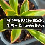 风华中新拟设子基金风华明禾 投向高端电子元器件设备领域(图2) 风华中新拟设子基金风华明禾 投向高端电子元器件设备领域(图2)