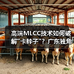 高端MLCC技术如何破解 高端MLCC技术如何破解