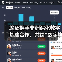 埃及携手非洲深化数字基建合作，共绘