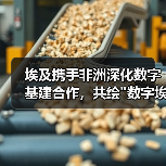 埃及携手非洲深化数字基建合作，共绘