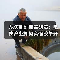 从仿制到自主研发:电声产业如何突破改革开放挑战?(图2) 从仿制到自主研发:电声产业如何突破改革开放挑战?(图2)